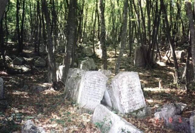 115.jpg