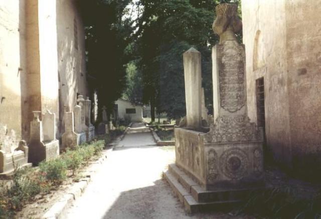 123.jpg