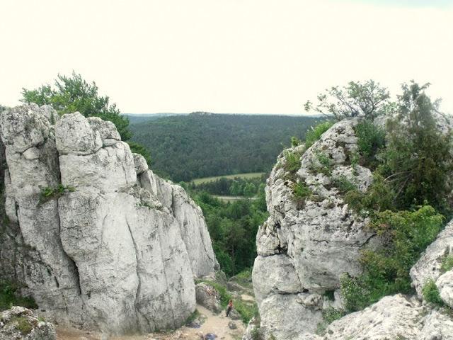 12jura14.jpg