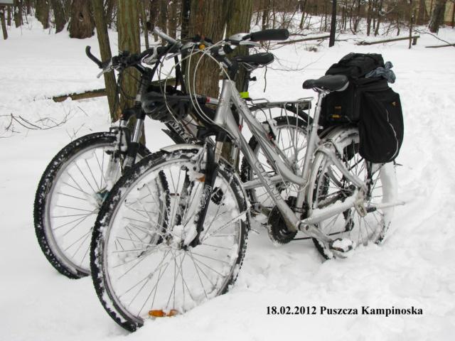 12zima25.jpg