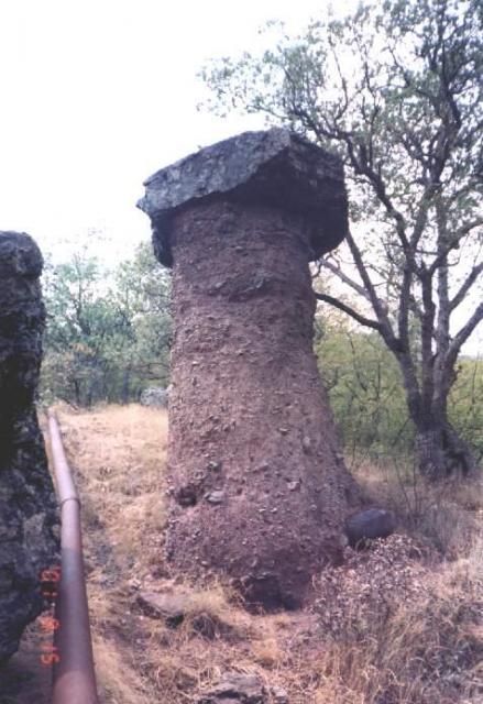 131.jpg