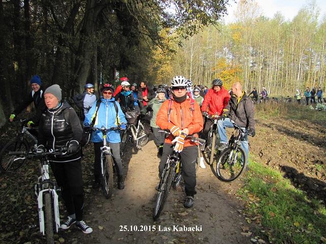 15ziemniak03.jpg
