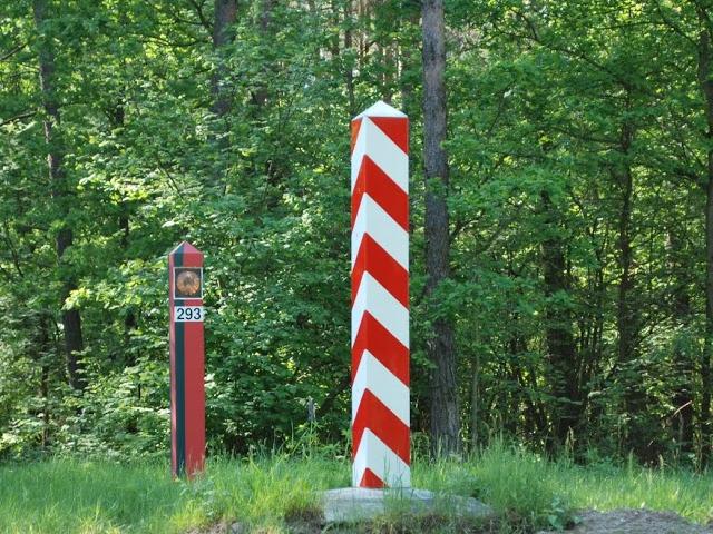16bialowieza03.JPG