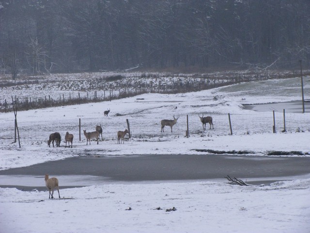 16mazury32.jpg