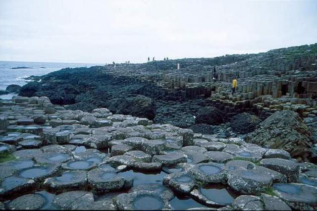 178.jpg