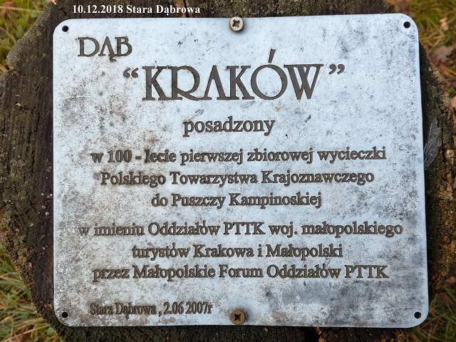 17grudzien06.jpg