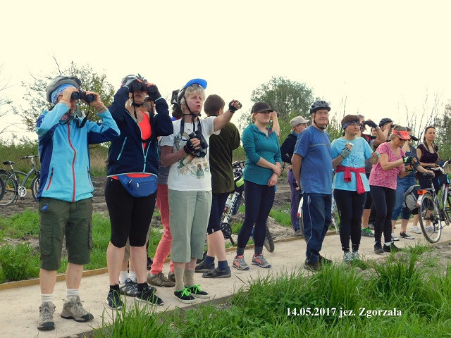 17wiosna103.jpg
