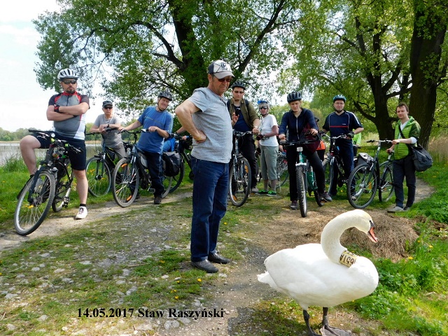 17wiosna110.jpg