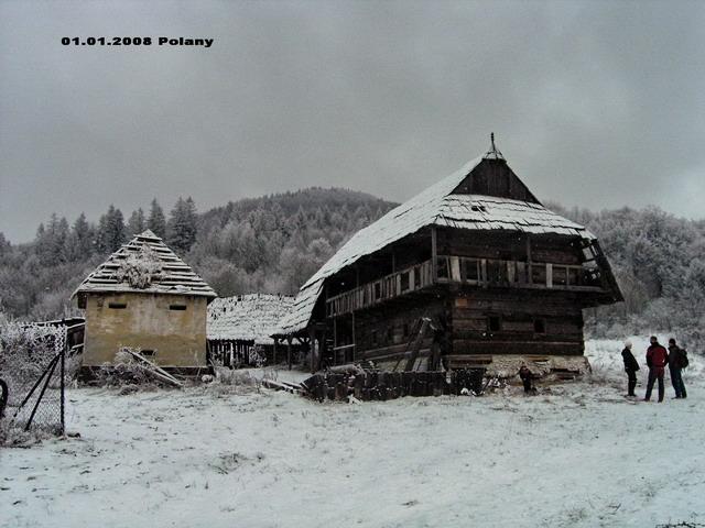 467.jpg
