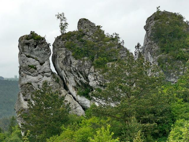j10.jpg